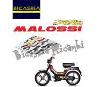17532 - KIT ADESIVI MALOSSI URBAN JUNGLE 50 X 23 CM PIAGGIO 50 SI