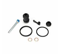 18-3200 KIT REVISIONE PINZA FRENO POSTERIORE Yamaha FZ8 800cc 2011-2013