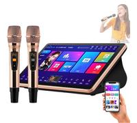 18.5 Inch Portable Karaoke System, 1T/2T /3T/4T/6T/8T Capacitive Touch Screen Karaoke Machine with 2 Wireless Microphones for Family Parties Bar, Built-In Amplifier/Microphone/Reverberator,Black-4T
