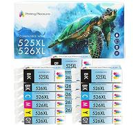 18 Compatibili PGI-525 CLI-526 Cartucce d'inchiostro per Canon Pixma MG5150 MG5250 MG6150 MG6250 MG8150 MG8250 MX885 iP4850 iP4950 iX6550 - Nero/Nero Foto/Ciano/Magenta/Giallo/Grigio, Alta Capacità