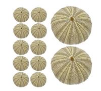 18 Pcs Guscio Di Riccio Mare Ornamenti Paesaggistici Per Acquari