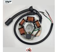 Statore Campo Magnetico Per Piaggio Vespa Fl2 HP 50 1991 1992 1993 1994 1995