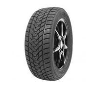 DELINTE - 185/65 R14 86H DELINTE WD1