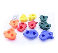 Grip per il muro di arrampicata per bambini 10 pezzi