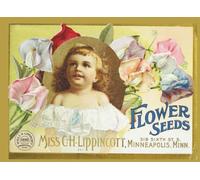 1899 Flower Seeds: Miss C.H. Lippincott's Illustrated Seed Catalog: Facsimile Reprint