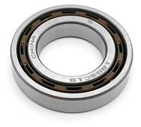 18BSC19 DG1934-1 18.72x33.8x7mm Miniature Thin Wall Ball Bearing 1Pcs | Shielding ball bearing