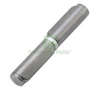 18PZ CERNIERA C COSTA PERNO OTTONE 22X150 ART.257: