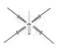 18X Universale Alluminio Rivetti 4 X 20 Mm