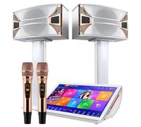 19,5 calorie professionale per karaoke, 4K pojemnościowy ekran dotykowy, maszyna do karaoke KTV z bezprzewodowym microfonem i 10-calowym Głośnikiem, 2T szybki disk twardy, 27 języków