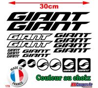 19 Adesivi Giant - Autoadesivi Telaio Bicicletta Mountain Bike Tavola - 178