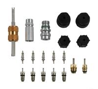 19 pezzi Kit di nuclei per valvola dell'aria condizionata in ottone e alluminio per sistemi R12/R134a AC, kit di guarnizioni per evitare perdite, compatto per riparazione auto