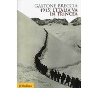 1915: l'Italia va in trincea. Ediz. illustrata