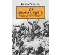 1917 Lubiana o Trieste? Le ultime spallate di Cadorna viste «dall'altra parte»
