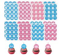 192 Pezzi Gender Reveal Party Decorazioni Baby Shower Adesivi Etichette Etichette Team Boy Team Girl Stickers Genere Rivelare Stelle Blu e Rosa Kit Festa Rivelazione Sesso Bambino