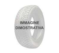 195/45 R15 82 V Royal Black Royal Performance Xl (tl)
