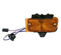 1967 Chevrolet Chevelle & El Camino Parcheggio Lampada Montaggio - SX Nuovo DII