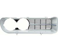 1967 Pontiac Firebird Anteriore Griglia W/400 Motore - Rh