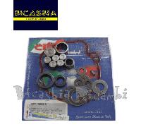 1991 - KIT REVISIONE MOZZO RUOTA POSTERIORE PIAGGIO SI CIAO BRAVO CON VARIATORE