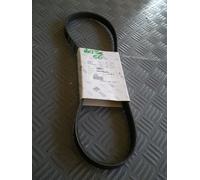1A005573 CINGHIA POMPA ACQUA PIAGGIO PORTER B. 16 V (MOTORE DAM 13 R) EURO 6