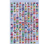 1art1 Banderas del Mundo - Country Names And Capitals, in French Fotomural Autoadhesivo (180 x 120cm)