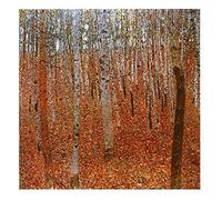 1art1 Gustav Klimt Poster Faggeto Stampa d'Arte 30x30 cm