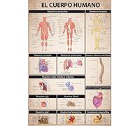 1art1 Il Corpo Umano Poster El Cuerpo Humano Stampa 91x61 cm