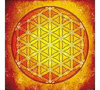 1art1 Mandala Poster Il Fiore della Vita, L'Elemento Fuoco Stampa d'Arte 70x70 cm