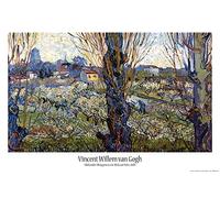 1art1 Vincent Van Gogh Poster Frutteti in Fiore con Vista di Arles, 1889 Stampa 91x61 cm