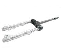 1C000190R FORCELLA ANTERIORE COMPLETA ORIGINALE PIAGGIO BEVERLY 300 IE ABS E4 20
