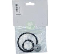 1CF KIT RICAMBI POMPA ARES DAL DEGAN N° 5A: