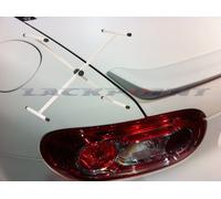 1CS X Supporti Stand Rivestimento Altezza 50-100cm Vernice Auto Nuovo Lackpoint