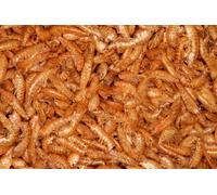 1kg di Gamberetti essiccati 1-2cm. Gammarus mangime per tartarughe, pesci, koi