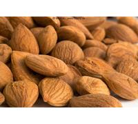 1kg Semi di Albicocca Amari, Scelto con Cura, Natura, Trattata, Sementi