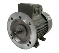 1LE1002-0CA22-2JA4 Siemens IE1 = standard = EFF2 3-Phase Motors