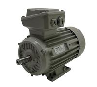 1LE1503-0DA32-2AA4-Z Siemens 3-Phase Motors