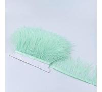 1M 5M 10M 8-10cm Nastro di piume di struzzo bianche e nere Piuma multicolore per cucire Piume Artigianato Abito Abbigliamento Decorazione-verde menta-5M