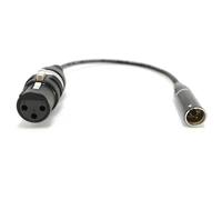 1m Mini-Xlr (M) Su XLR (W) Rean Adattatore-Audio Microfono Cavo Blackmagic