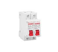 1P-1P DC 12V 24V 48V 60V 110V interruttore interruttore di protezione della batteria cortocircuito positivo e negativo 10A 20A 50A 100A 125A 150A(32A)
