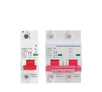 1P 2P DC MCB 600V Circuit Breaker Battery Switch DC MCB Short Circuit Overload Protection Solar Photovoltaic PV 100A 125A EKFBQBGW(2P,125A)