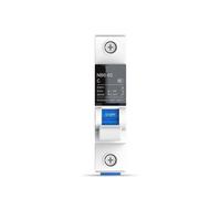 1P 6-63 DZ30 DZ40 EPN DPN TPN AC 230/400V ROCB Interruttore automatico con montaggio su guida DIN Interruttore pneumatico in miniatura(25A)