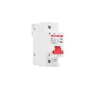 1P DC 12V 24V 48V 60V 110V interruttore interruttore di protezione della batteria cortocircuito positivo e negativo 10A 20A 50A 100A 125A 150A(100A)