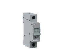 1P DC 250V Solar Mini Circuit Breaker Interruttore di protezione da sovraccarico 6A 10A 16A 20A 25A 32A 40A 50A 63A MCB for fotovoltaico fotovoltaico(20A)