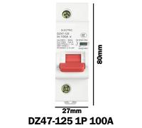 1P Dc MCB 600V 125A 100A 80A Circuito Interruttore for Pv-System Batteria Main