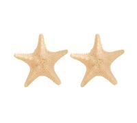1Pair Styles Star Designs Clip per capelli per le donne in resina leggera accessori per capelli in due stili pratici