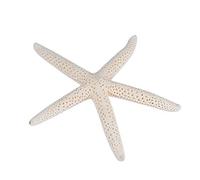 1pc 10-12cm Stella Marina Bianca Per La Decorazione Sea Party, Wedding Decor, Home Decor E Project Craft