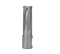 1pc 12-30mm Punta da trapano a codolo piatto anulare TCT con gambo Weldon for sega magnetica a foro(17x35mm)
