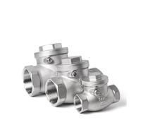 1PC 3/8" BSP internal thread horizontal check valve SS304 stainless steel swing check valve YZWRWRMKTB