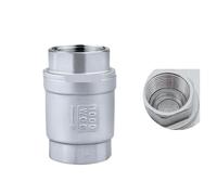1pc BSPT 1/4“ Stainless Steel SS304 Check Valve 1000 WOG Thread In-Line Spring Vertical Control Tool YZWRWRMKTB