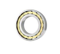 1pc Cuscinetto a rulli cilindrici ad alta resistenza N NU NJ NF NUP 405 406 407 408 409 410 411 412 EM Alta velocità e durata(407EM 35x100x25,NF)