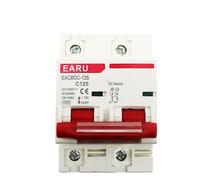 1pc DC 1000V Solar Mini Circuit Breaker Protezione da sovraccarico Interruttore di protezione 80A 100A 125A 2P DC1000V Fotovoltaico MCB Sistema fotovoltaico(125A)